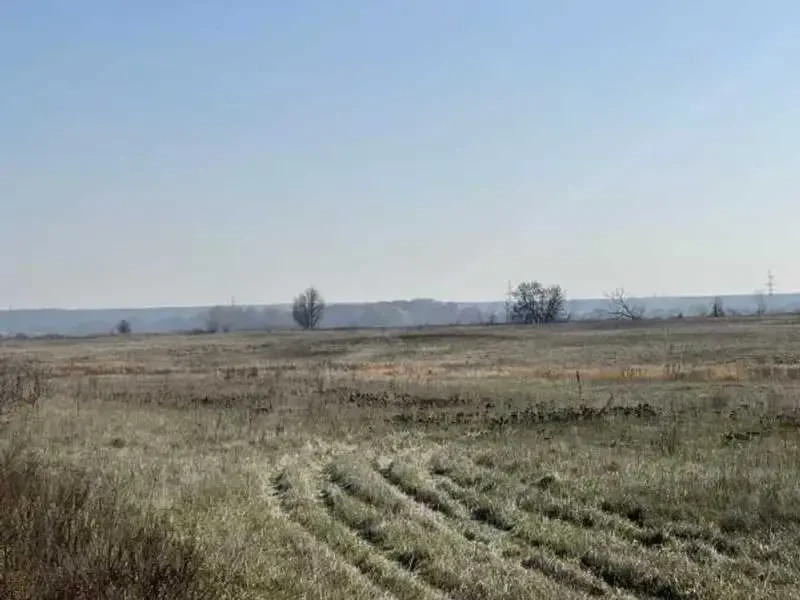 ділянка сільськогосподарського призначення Броварський, Пухівка, Цен.. 2