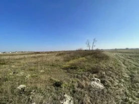 ділянка сільськогосподарського призначення Броварський, Пухівка, Цен..