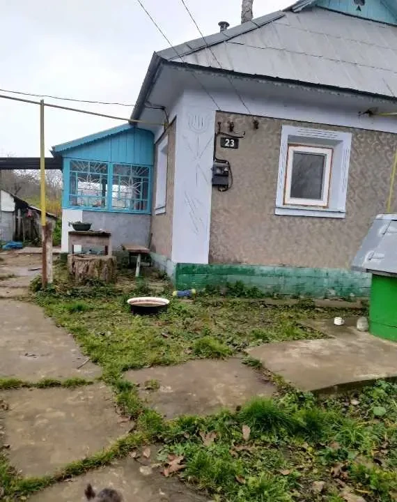 1-к будинок Віньківці, Покутинці, Вишнева (Чкалова) 23 8