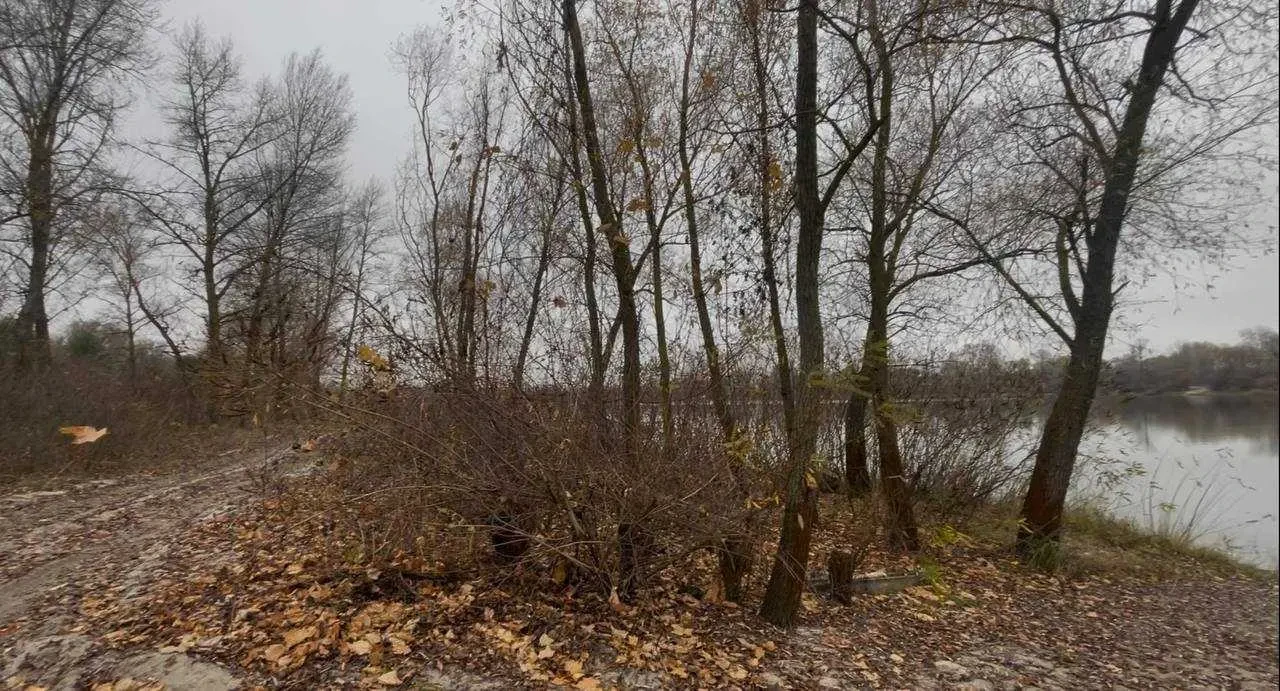 база відпочинку, пансіонат Броварський, Погреби, Кодацька 23
