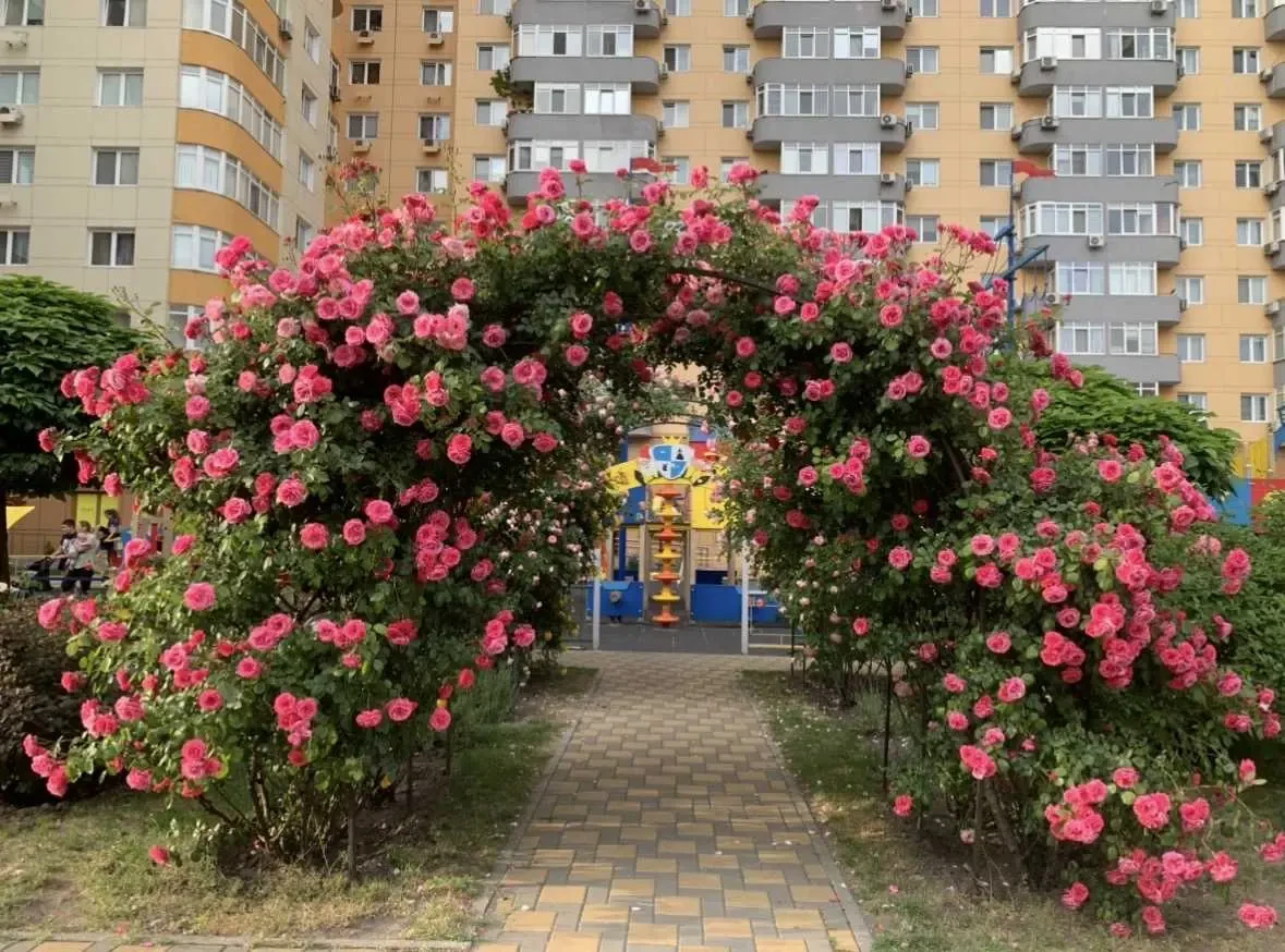 1-к квартира Київ, Оболонський, Юрія Кондратюка 5 15