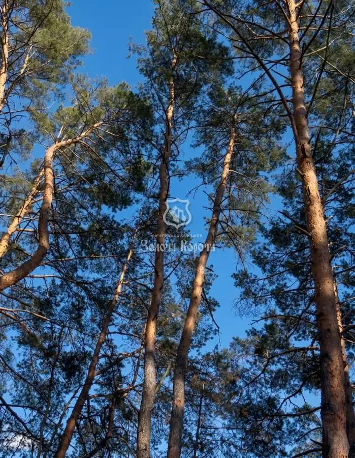 ділянка комерційного призначення Бучанський, Гавронщина, Жовтнева 2