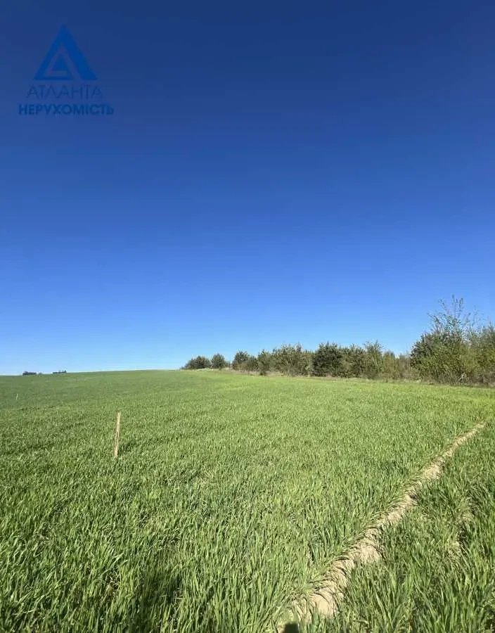 ділянка під житлову забудову Луцьк, Охотин, Лісова 4
