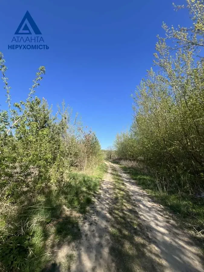 ділянка під житлову забудову Луцьк, Охотин, Лісова 6