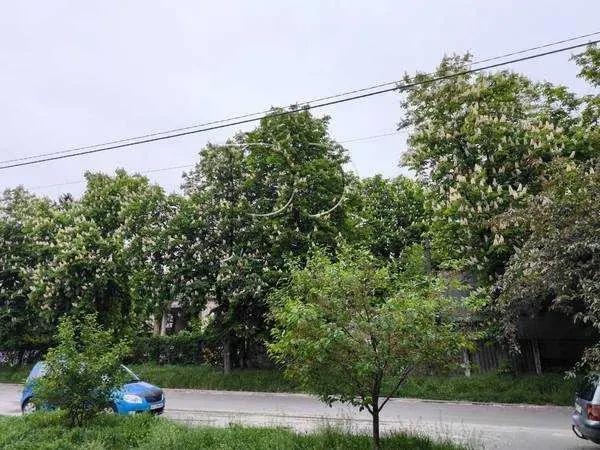2-к квартира Бориспільський, Бориспіль, Екскаваторная улица 5 13
