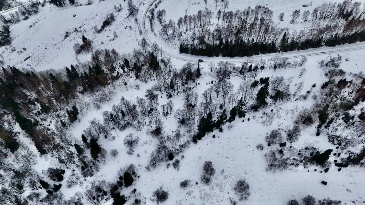ділянка під житлову забудову Сколівський, Плав`я, село Хітар, вул. Ш.. 3