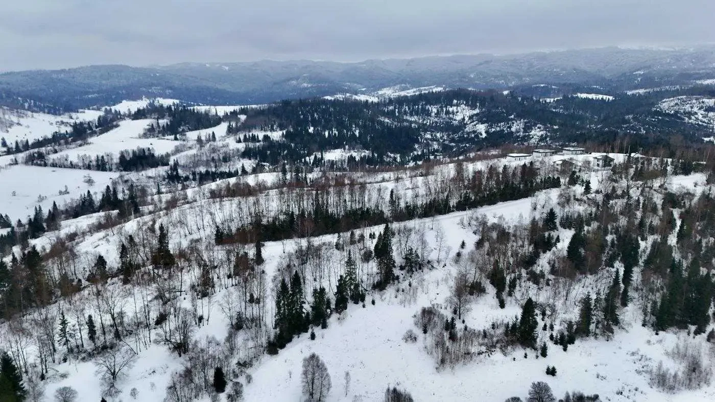 ділянка під житлову забудову Сколівський, Плав`я, село Хітар, вул. Ш.. 2