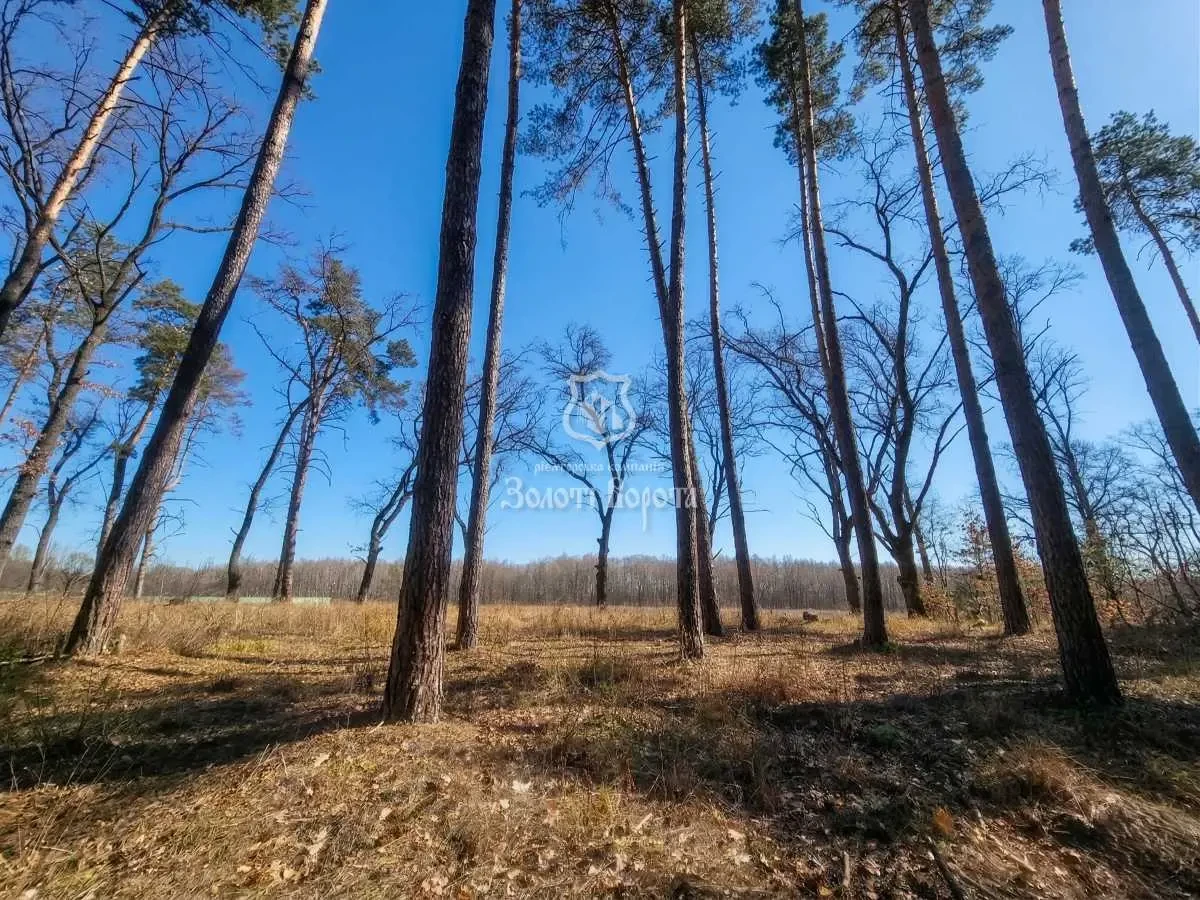 ділянка під житлову забудову Обухівський, Козин, Соловьяненко Анатолия