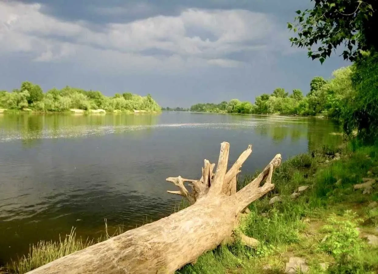 5-к будинок Вишгородський, Хотянівка, Міжріччя 20