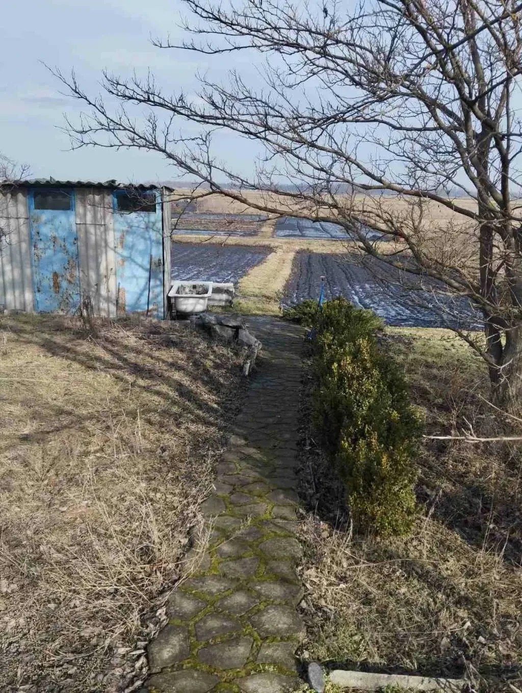 3-к дача Дніпро, Центральний, Нету 9