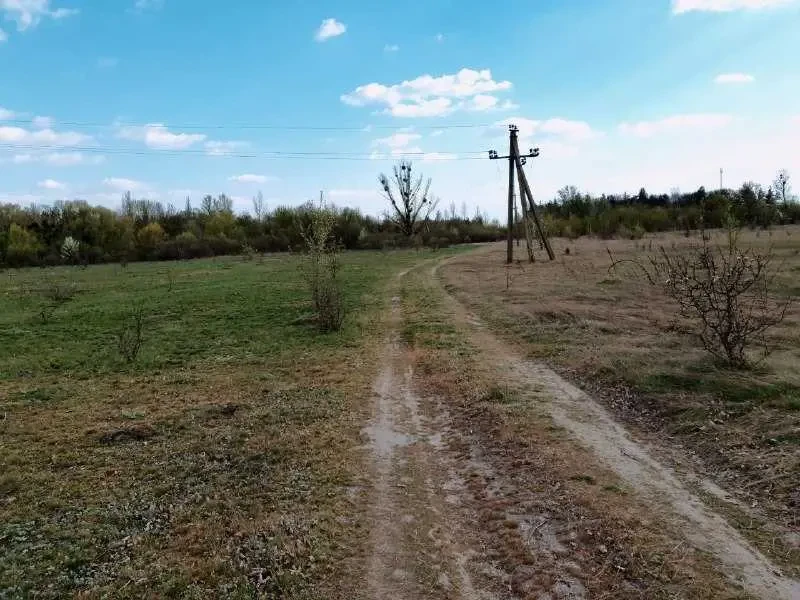 ділянка комерційного призначення Білоцерківський, Трушки, Центральна 4