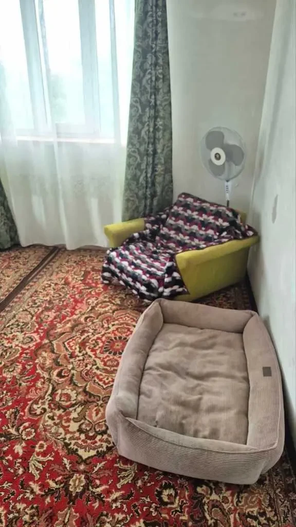 4-к дача Бориспільський, Проців, Садовая 9
