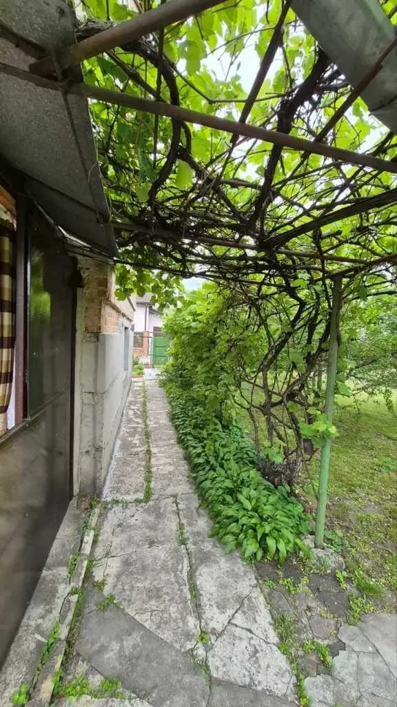4-к дача Бориспільський, Проців, Садовая 16