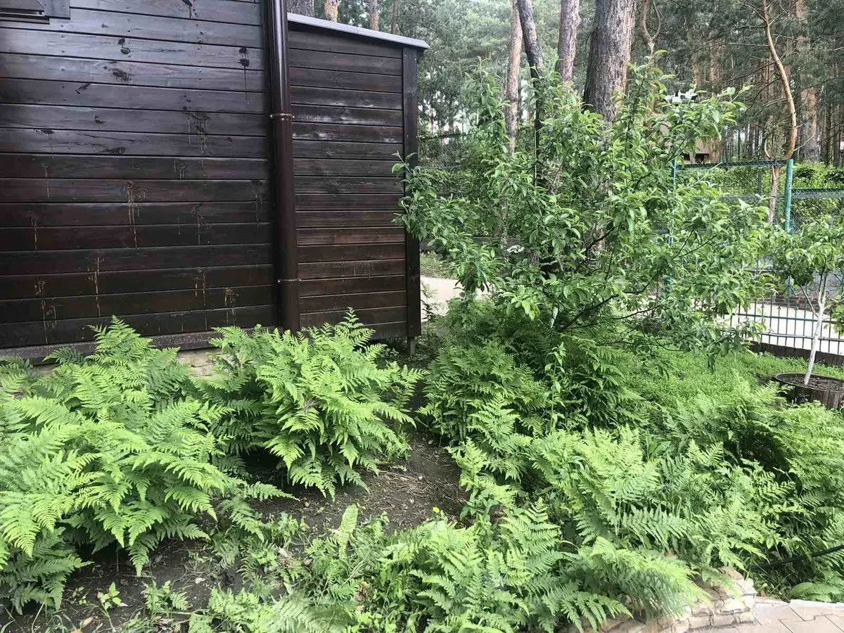Продажа  Участок под жилую застройку на Хрещатик