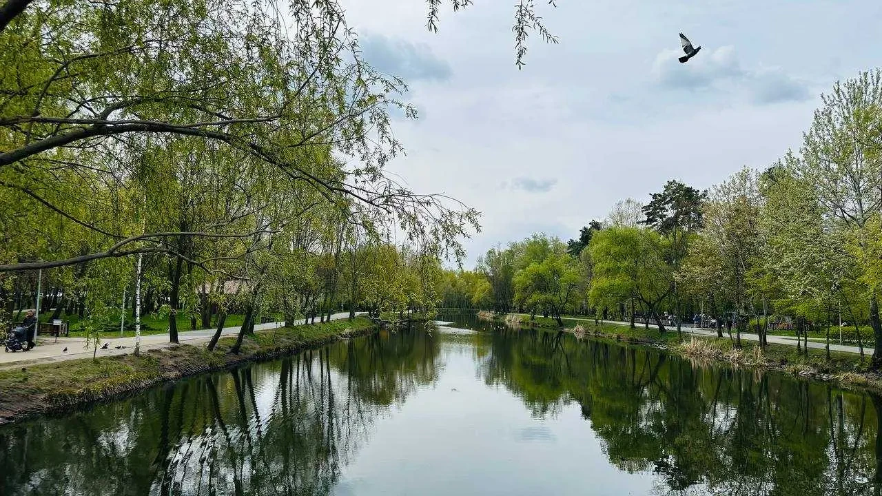 3-к квартира Київ, Дніпровський, Князя Романа Мстиславича 28 22