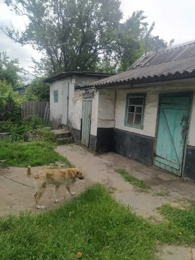 4-к будинок Кам`янське, Південний, Осіння 4