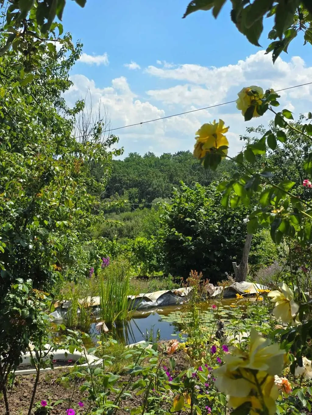 2-к дача Білоцерківський, Черкас, Польова 21