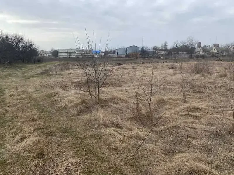 ділянка сільськогосподарського призначення Петриківський, Петриківка..