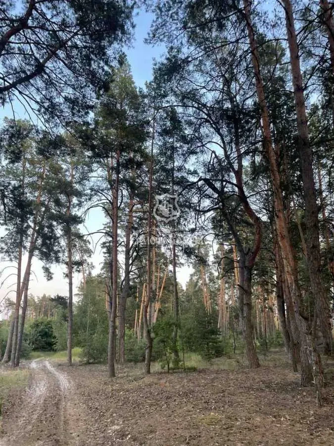 2-к будинок Вишгородський, Жукин, Київська вул. 19 7