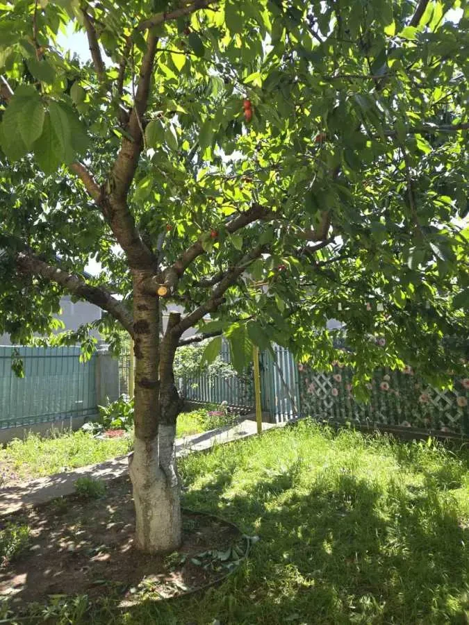 2-к будинок Одеса, Пересипський, Котляревского 2