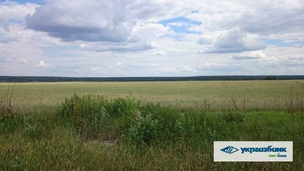 ділянка сільськогосподарського призначення Фастівський, Мостище, Нова 4