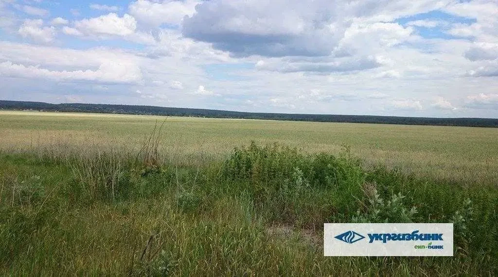 ділянка сільськогосподарського призначення Фастівський, Мостище, Нова 6