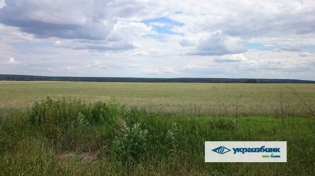 ділянка сільськогосподарського призначення Фастівський, Мостище, Нова 7
