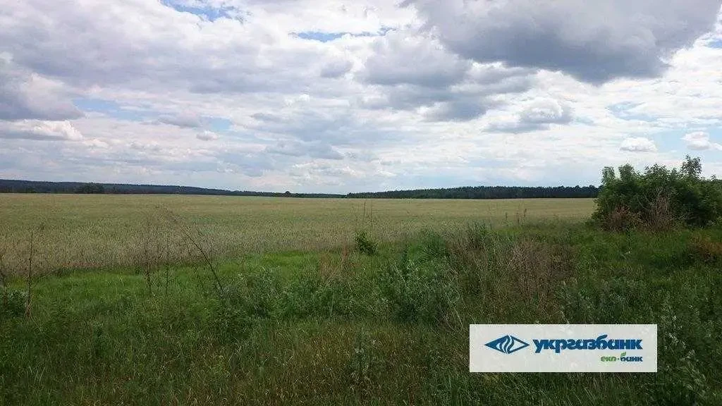 ділянка сільськогосподарського призначення Фастівський, Мостище, Нова 10
