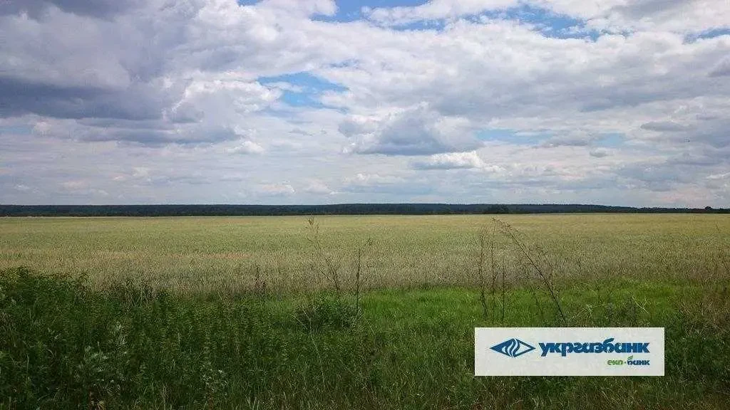ділянка сільськогосподарського призначення Фастівський, Мостище, Нова 12