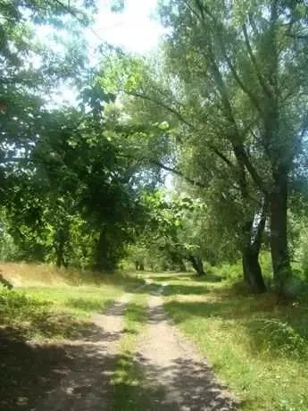 6-к будинок Броварський, Літки, Незалежности 18