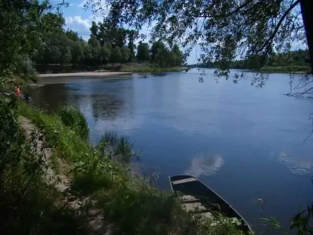 6-к будинок Броварський, Літки, Незалежности 12