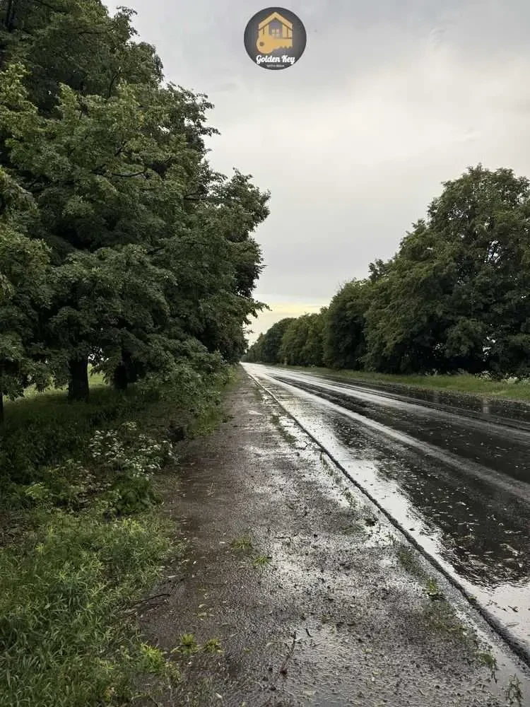 ділянка сільськогосподарського призначення Бориспільський, Гора, Цен.. 6