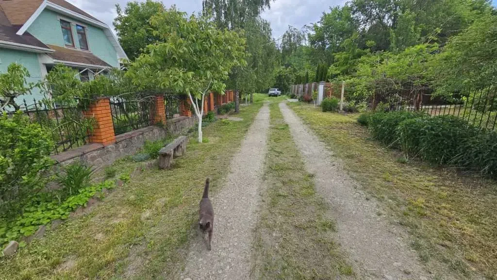 ділянка під житлову забудову Бориспільський, Ревне, Зелений гай 3