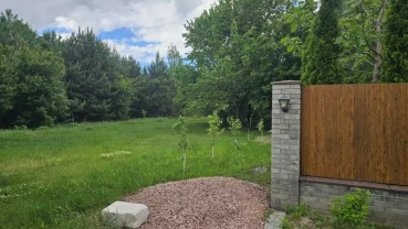 ділянка під житлову забудову Бориспільський, Ревне, Зелений гай