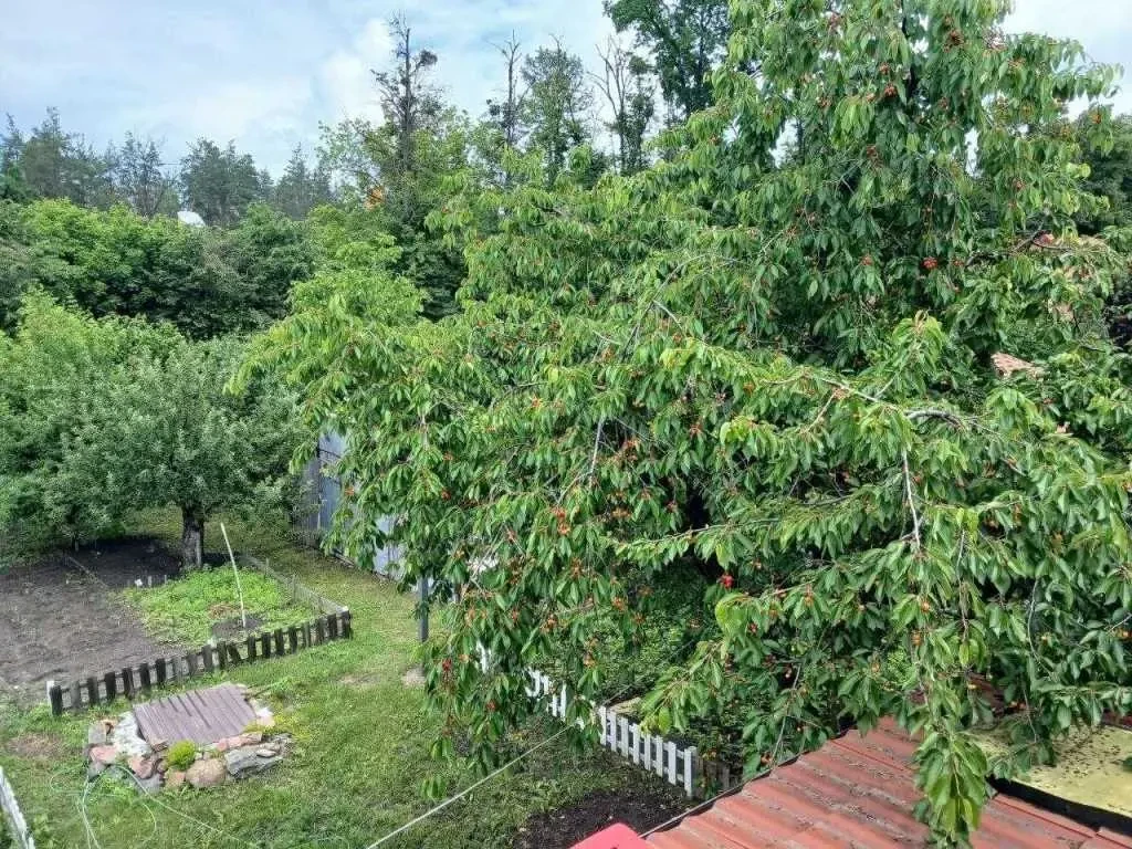 5-к будинок Київ, Святошинський, Зв'язківців 2 20
