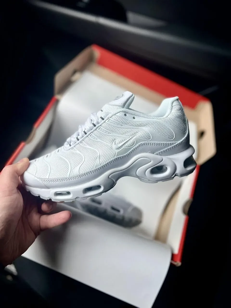 Кроссовки Nike Air Max TN Plus арт 21571 (унисекс, найк тн) 2