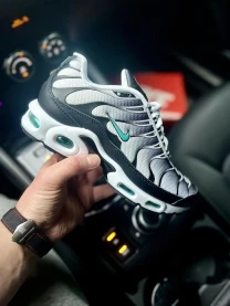 Кроссовки Nike Air Max TN Plus арт 21573 (унисекс, найк тн) 41