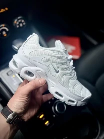 Кроссовки Nike Air Max TN Plus арт 21571 (унисекс, найк тн) 40