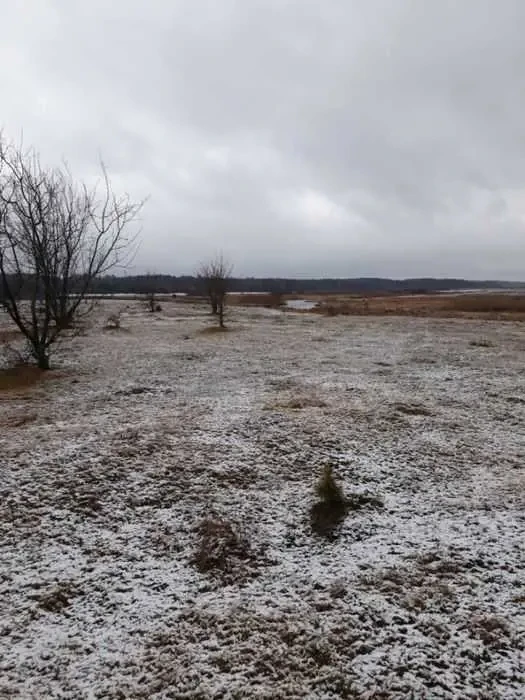 ділянка під житлову забудову Ковельський, Ковель, Кримчука 4