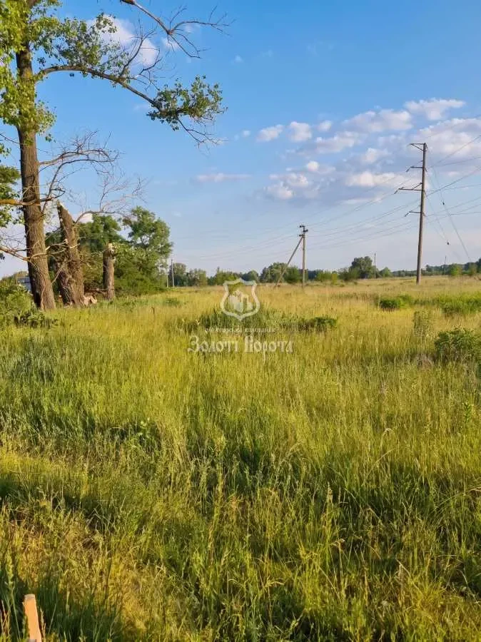 ділянка під житлову забудову Броварський, Пухівка, Вербова вул. 2