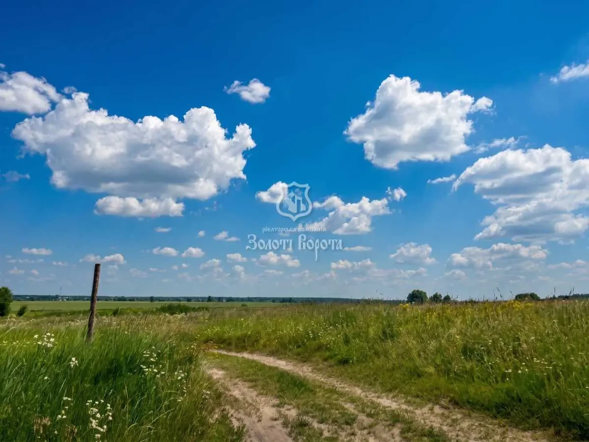5-к квартира Броварський, Волошинівка, Волошкова 37а 19