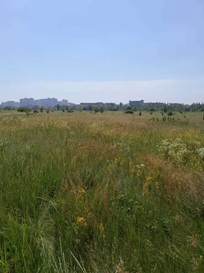 ділянка сільськогосподарського призначення Броварський, Погреби, Соб.. 2