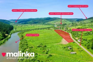 ділянка сільськогосподарського призначення Дрогобицький, Новий Кропи..
