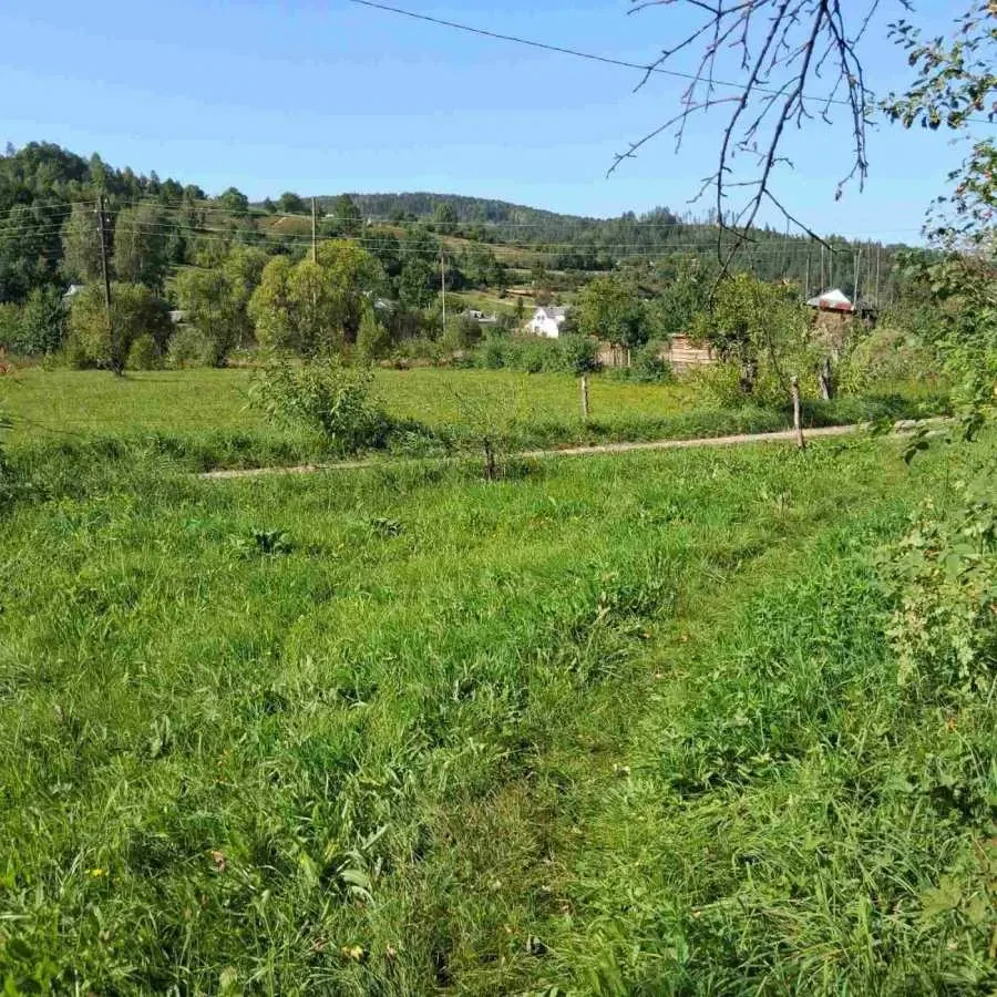 ділянка сільськогосподарського призначення Яремче, Довбуша