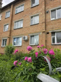 1-к квартира Білоцерківський, Мала Вільшанка, Молодіжна