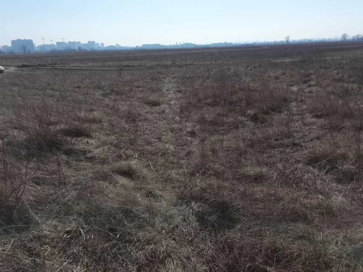 ділянка сільськогосподарського призначення Броварський, Погреби, Сад.. 3