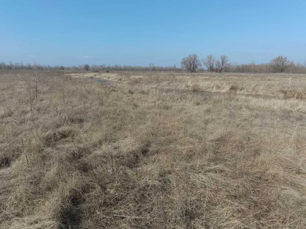 ділянка сільськогосподарського призначення Броварський, Погреби, Сад.. 7
