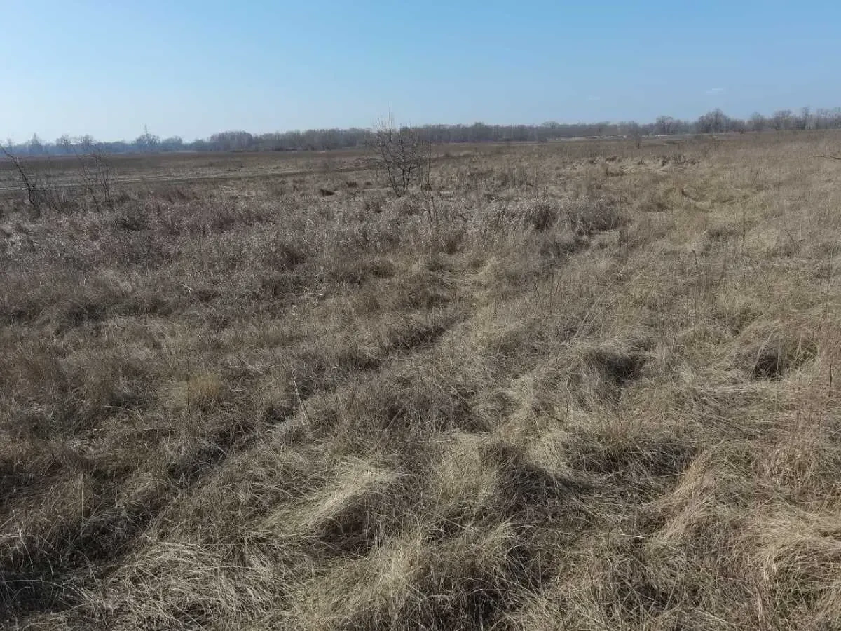 ділянка сільськогосподарського призначення Броварський, Погреби, Сад.. 5