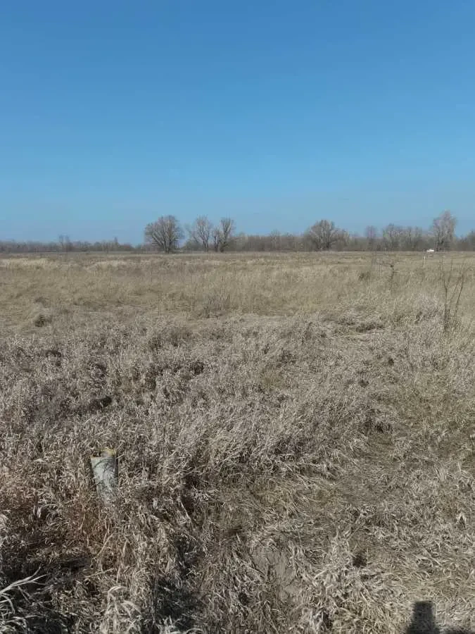 ділянка сільськогосподарського призначення Броварський, Погреби, Сад..