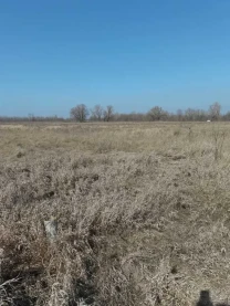 ділянка сільськогосподарського призначення Броварський, Погреби, Сад..